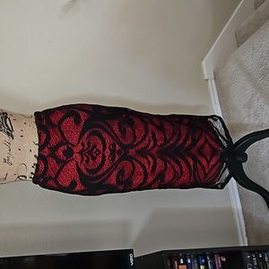 Bisou Bisou Skirt with lace/netting overlay